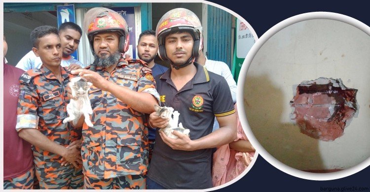 ফায়ার সার্ভিস ডেকে উদ্ধার দুই ভবনের মাঝে আটকে ছিল বিড়ালের বাচ্চা