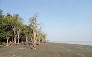 বরগুনা জেলা