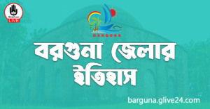 বরগুনা জেলার ইতিহাস