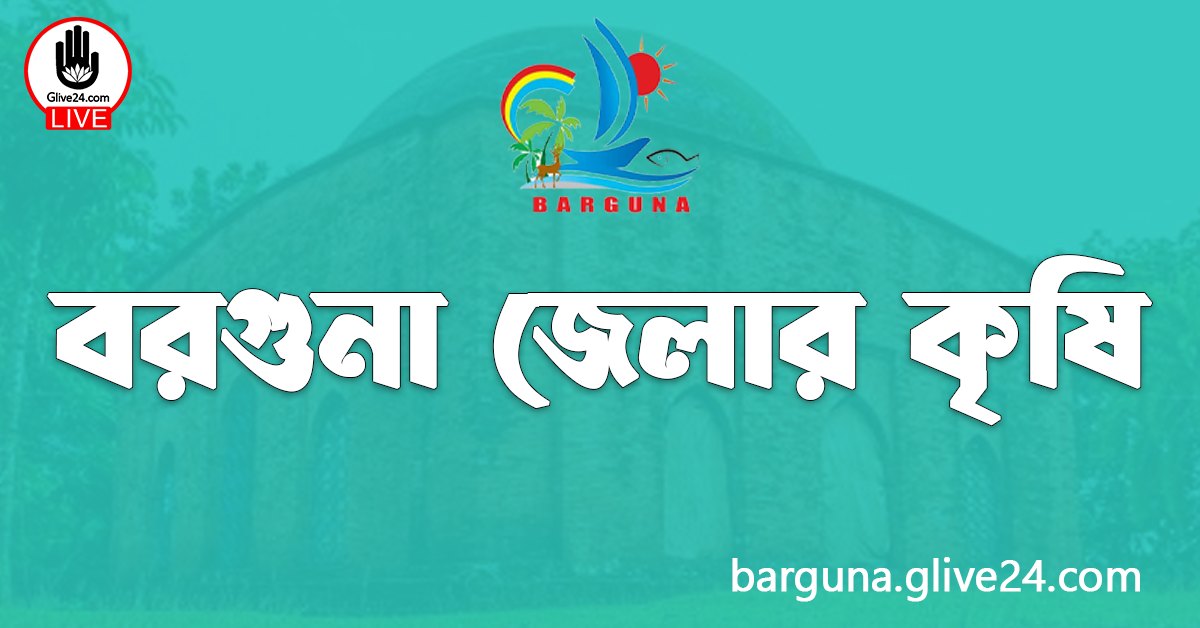 বরগুনা জেলার কৃষি