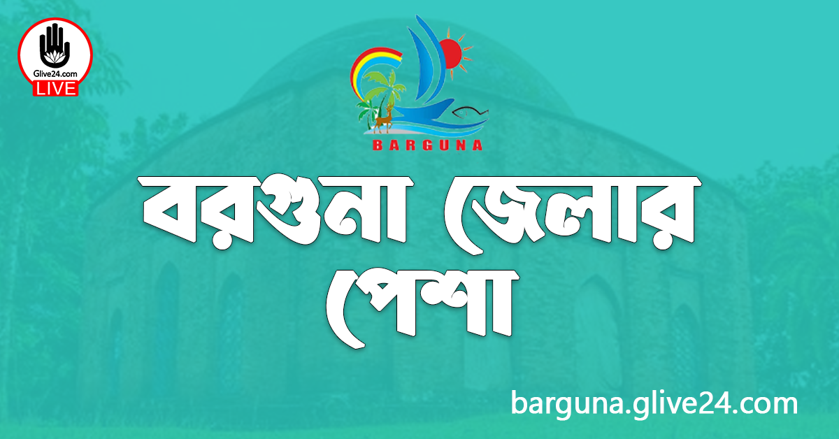 বরগুনা জেলার পেশা