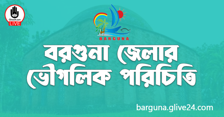 বরগুনা জেলার ভৌগলিক পরিচিতি