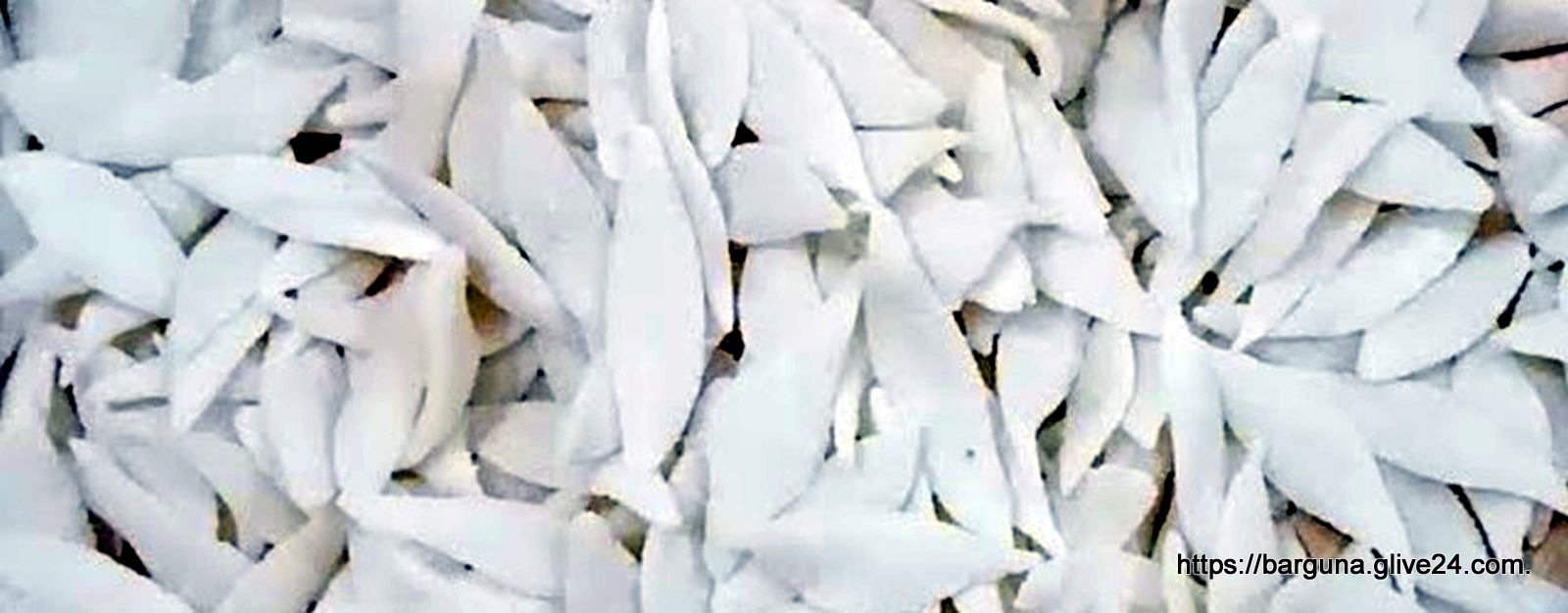 চ্যাবা পিঠা