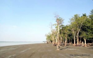পাথরঘাটা হরিণঘাটা লালদিয়া সমুদ্র সৈকত