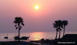 বিহঙ্গ দ্বীপ বা ধানসির চর