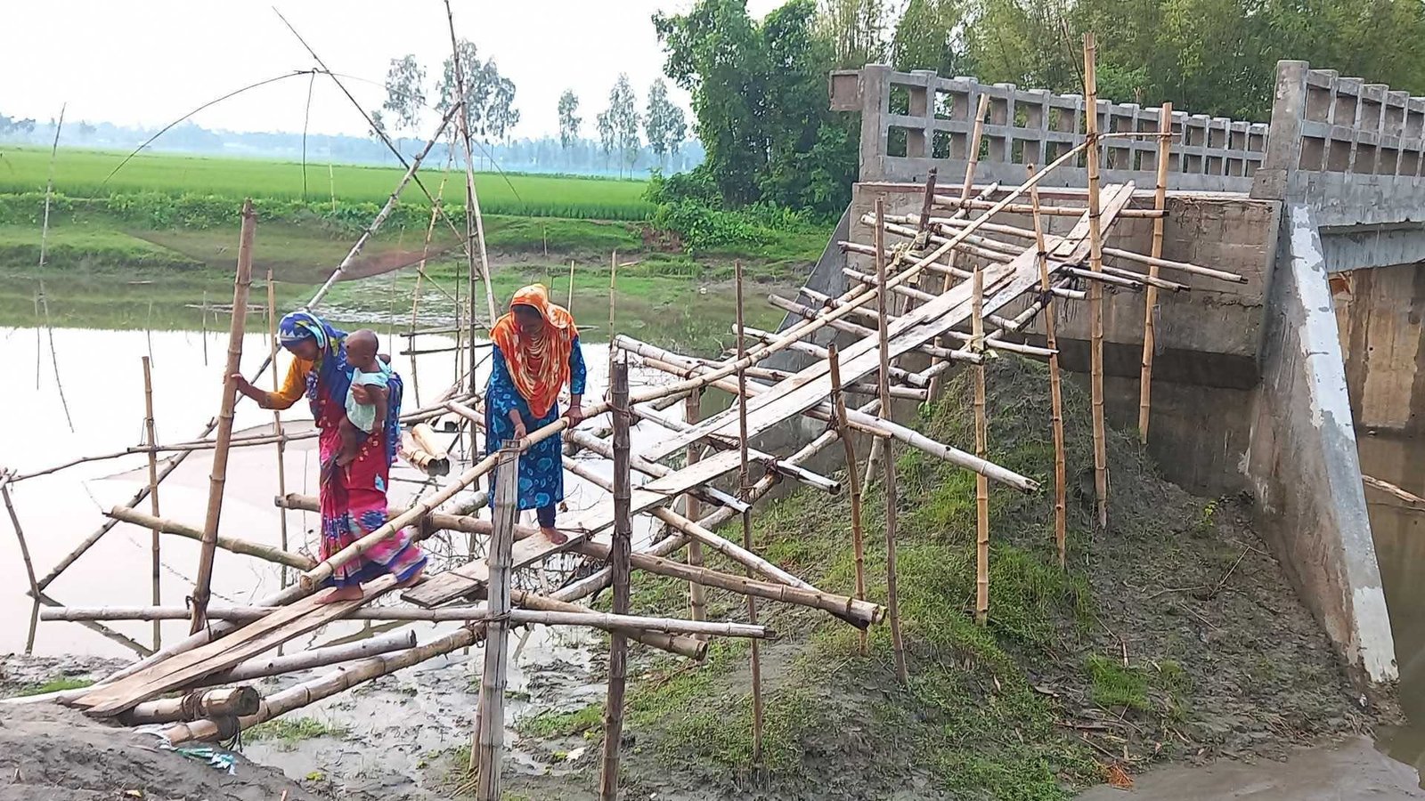 সড়কে বাঁশের সাঁকো 2 সড়কে বাঁশের সাঁকো, শিক্ষার্থী-রোগীসহ সবার ভোগান্তি চরমে