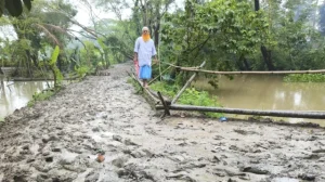 সড়কে হাঁটু সমান কাঁদা সড়কে হাঁটু সমান কাঁদা
